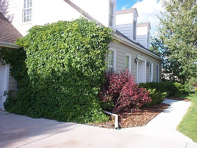 1st image of 1001 El Paso Dr