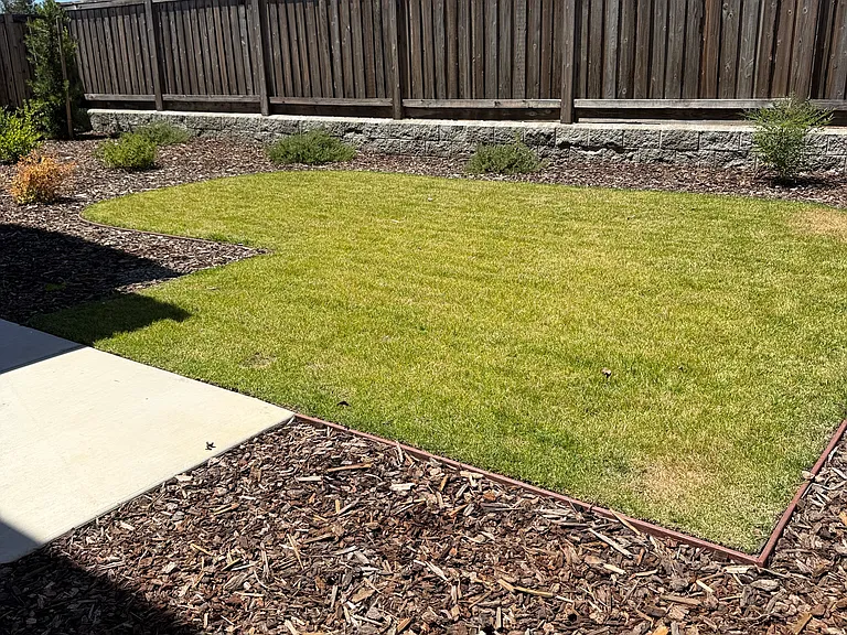 4410 Redstart Ln — Photo 21