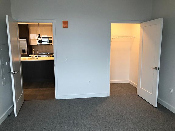 Bedroom with walk-in closet