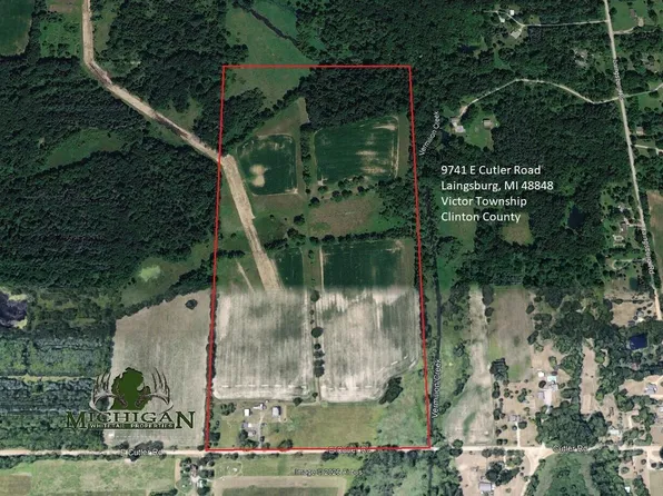 9741 E Cutler Rd, Laingsburg, MI 48848