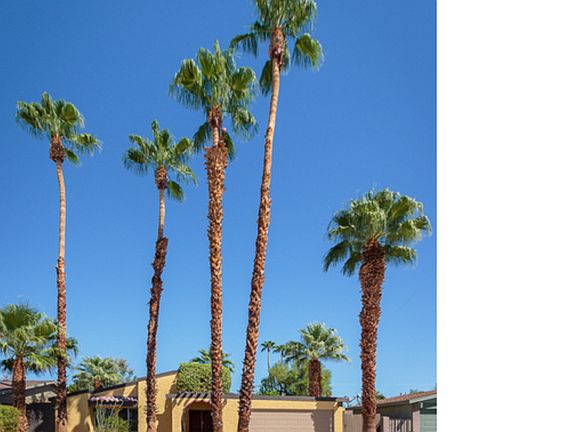 2nd image of 920 S Nueva Vista Dr