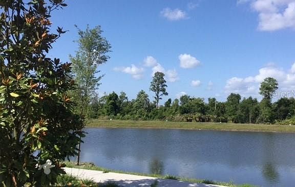 5th image of 12523 Turtle Grass Dr