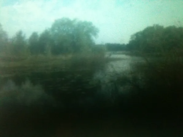 Otter Dr, Webster, FL 33597