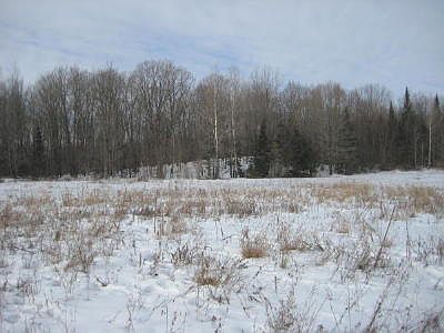 1st image of 96 Acres On Martin Dr
