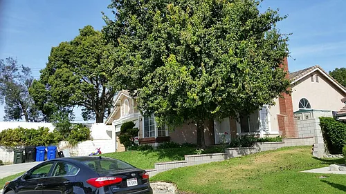 11301 Redwood Ct Photo 1