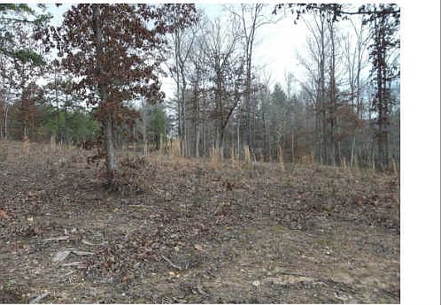 1st image of LOT 65 Owen Vis