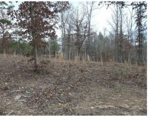LOT 65 Owen Vis, Blairsville, GA 30512