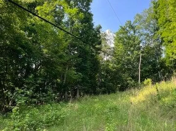 0 Hawthorne Dr, Spring City, TN 37381