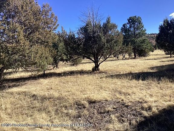 5th image of LOT 225 Antler Dr