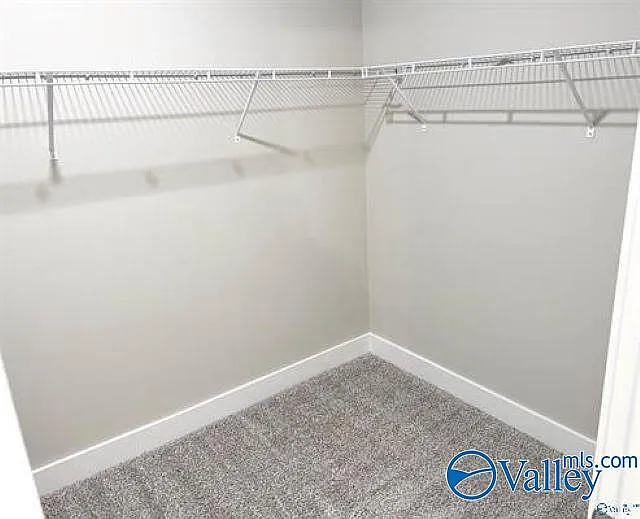 429 Tillane Park Cir — Photo 7
