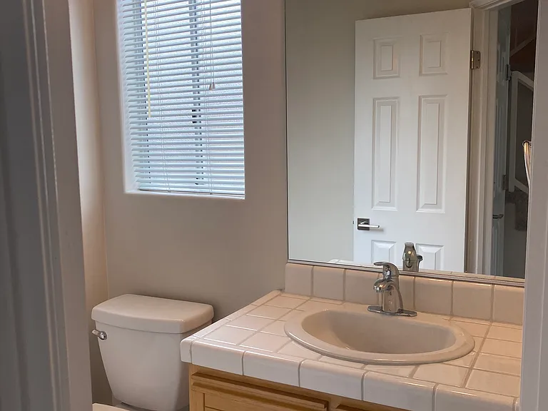 Guest Bathroom - Downstairs
