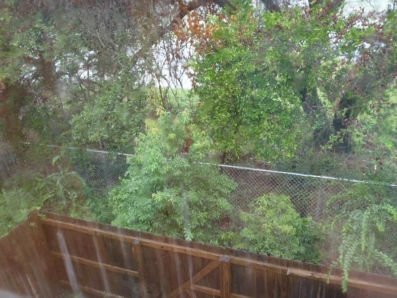 Back fenced in yard