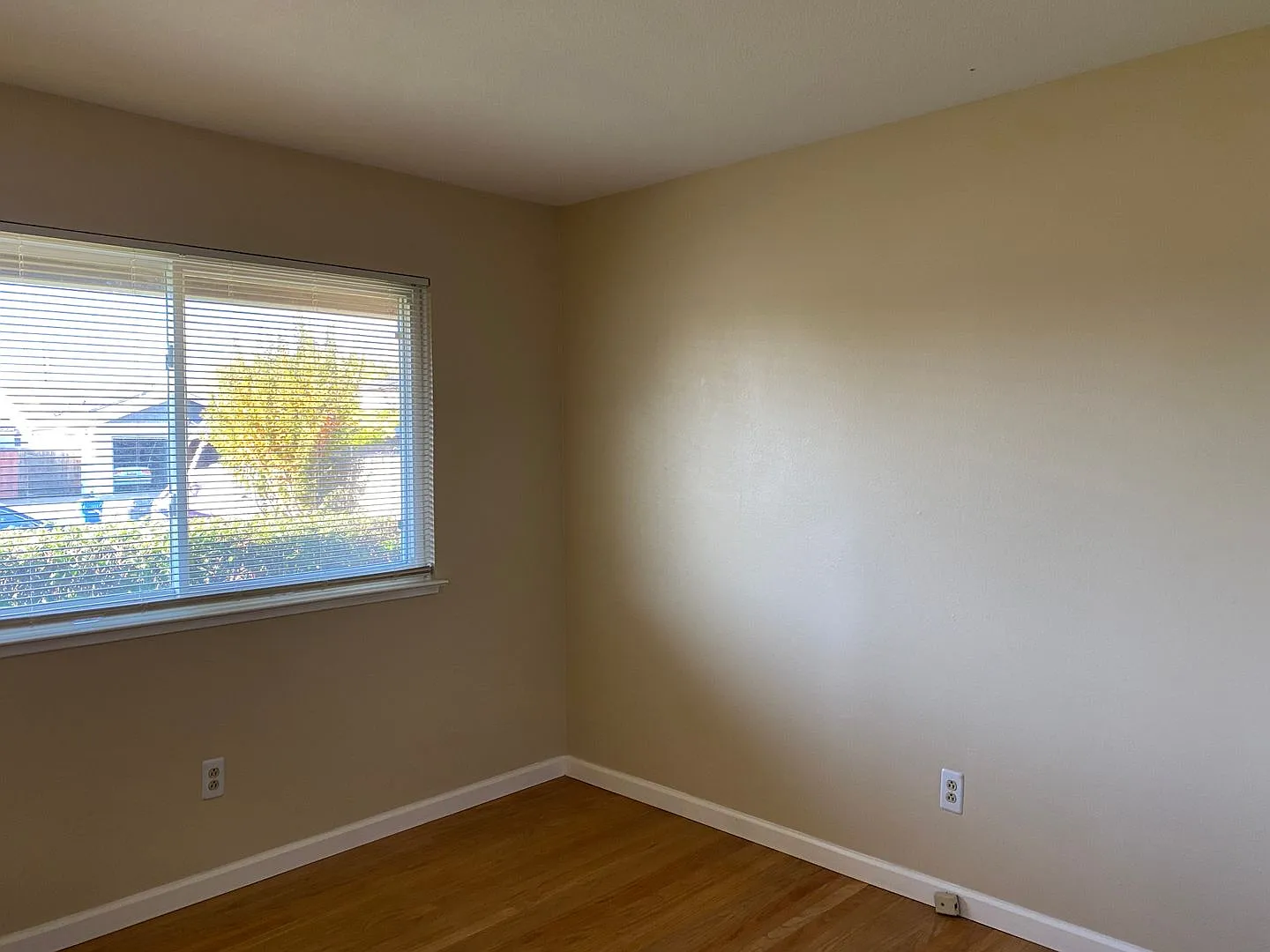 1312 Pacific Ave photo 1