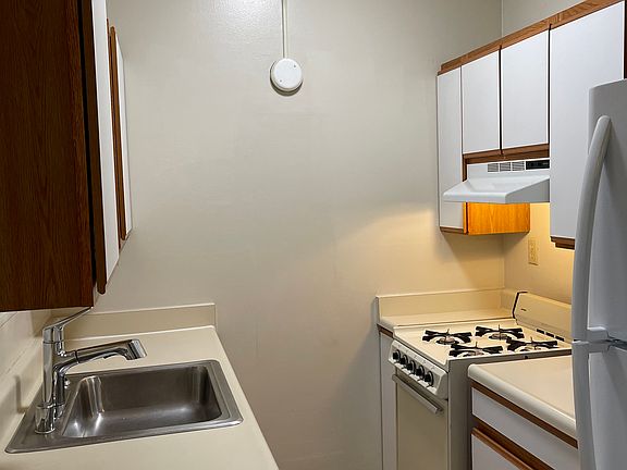 Gas Stove