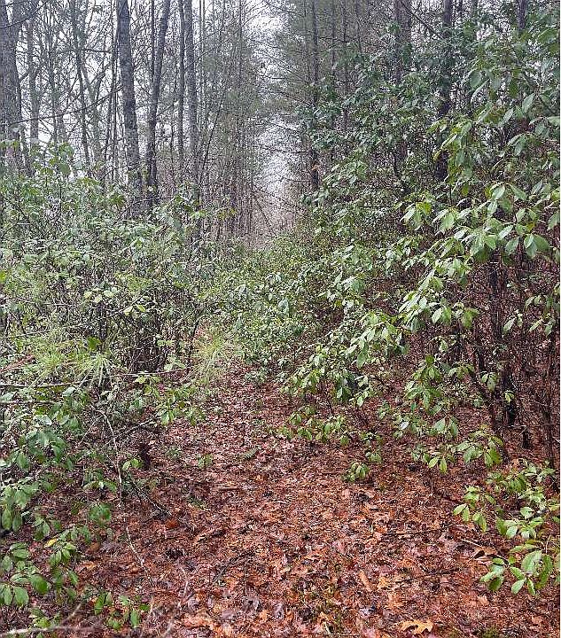 2nd image of Tr76b Mary King Mountain Dr