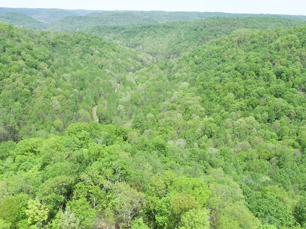 316 Harris School Rd, Irvine, KY 40336