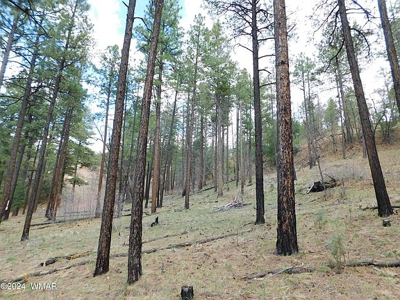 4th image of LOT 24 N2276