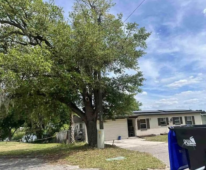 Property Side View