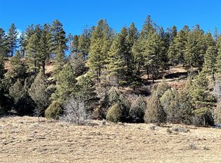 270 County Rd #352, Dulce, NM 87528
