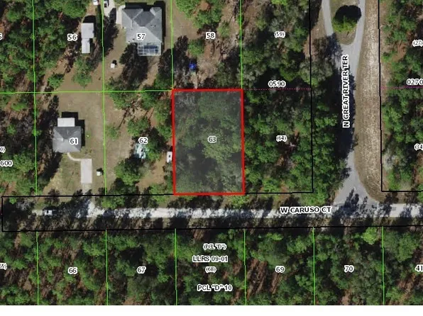 6185 W Caruso Ct, Dunnellon, FL 34433