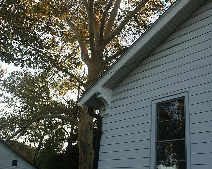 2646 Terrace Ln — Photo 25