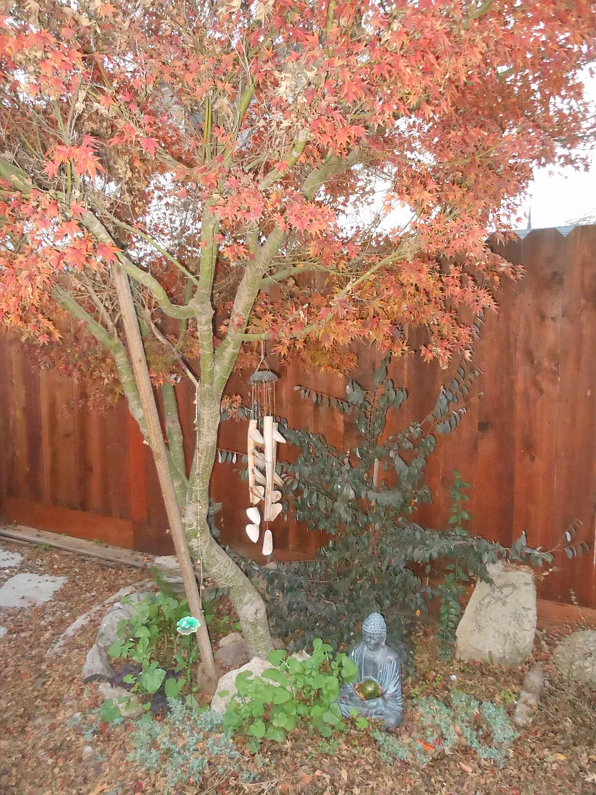 1127 W Elm St photo 1