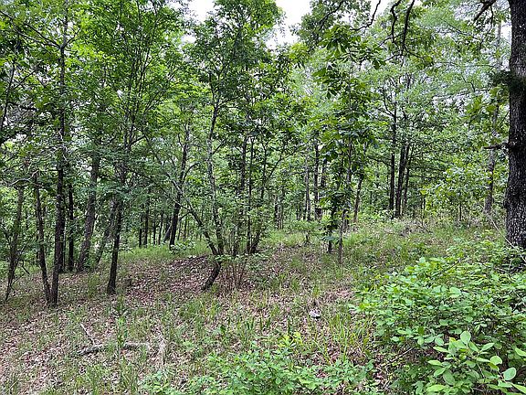 4th image of 69 Western Hills