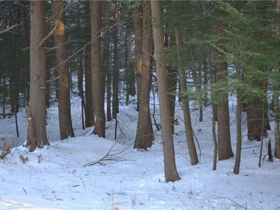  Dahlia Road, Livingston Manor, NY, 12758