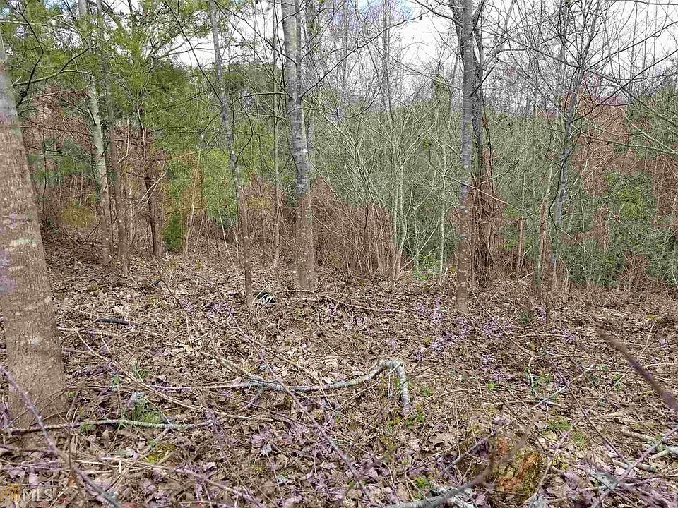 2nd image of 0 Deer Tract Rd