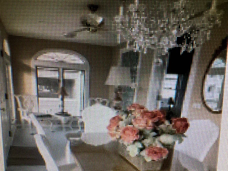 7 Kerr Ave — Photo 5