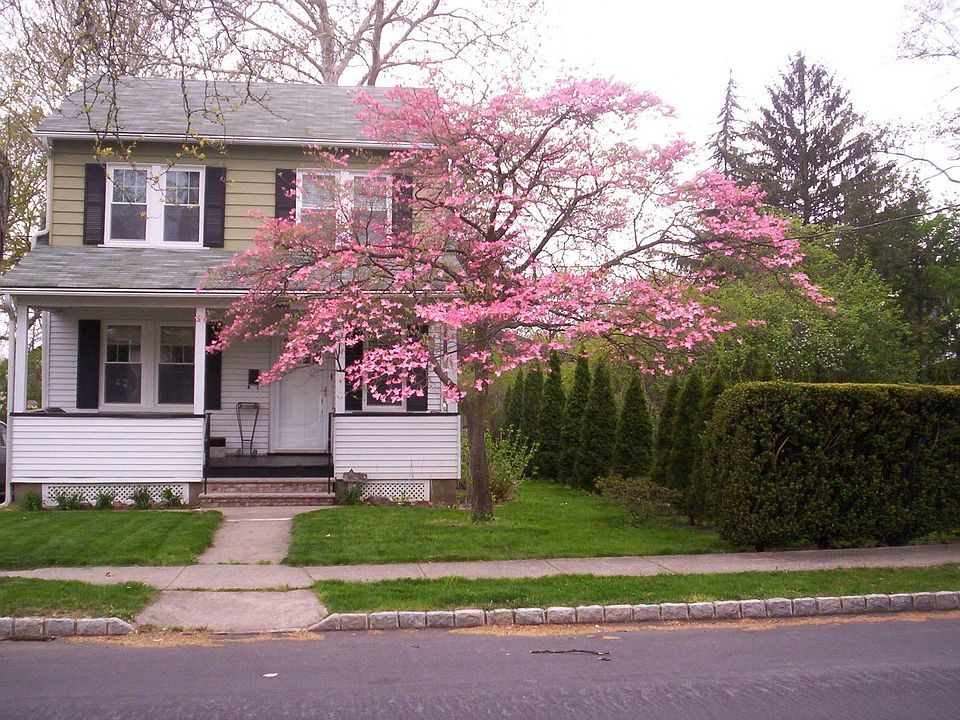 1st image of 15 Blaine St