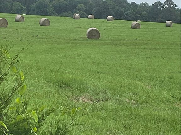 3rd image of Vacant Land County Rd #3411