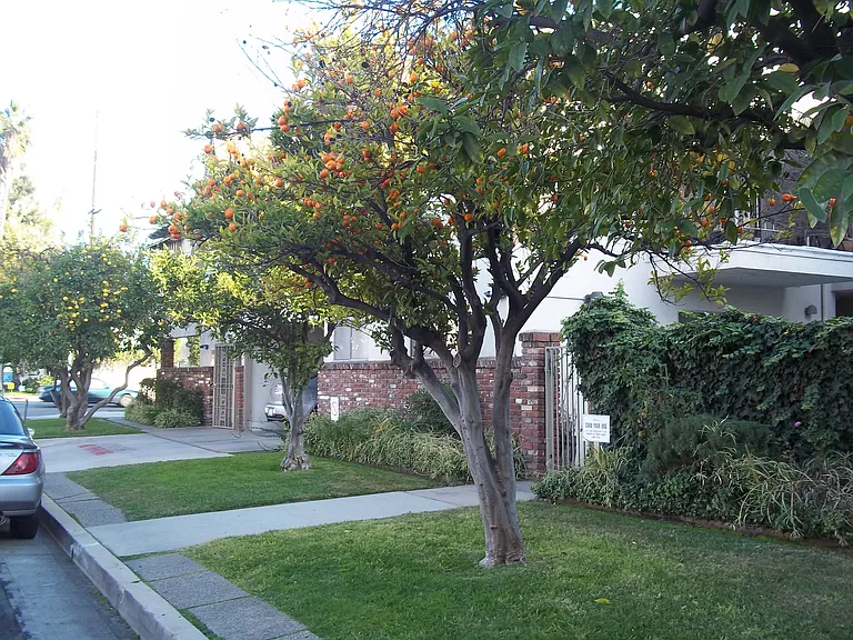 5929 Laurel Canyon Blvd #14 — Photo 14