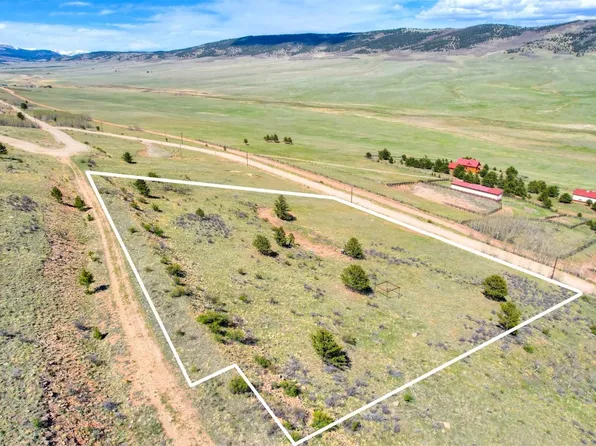 3525 Redhill Rd, Fairplay, CO 80440