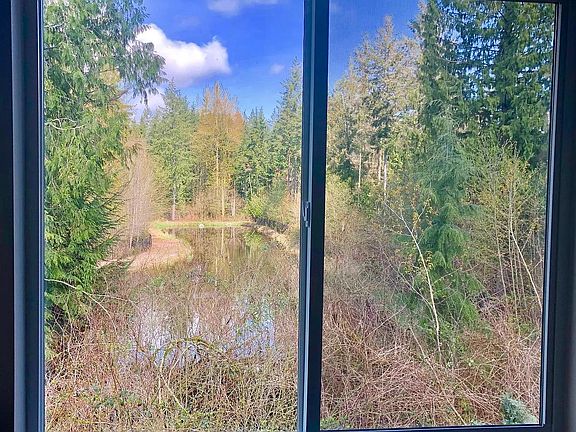 Pond view from the loft