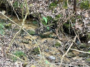 Pleasant Gap Rd, Ellijay, GA 30540