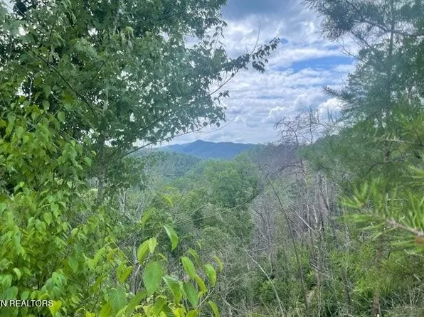 LOT River Birch Way #4, Sevierville, TN 37862