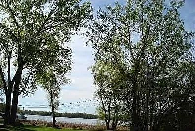 Direct view of Lake Minnetonka across the street. Comfortable breezes in the summertime!