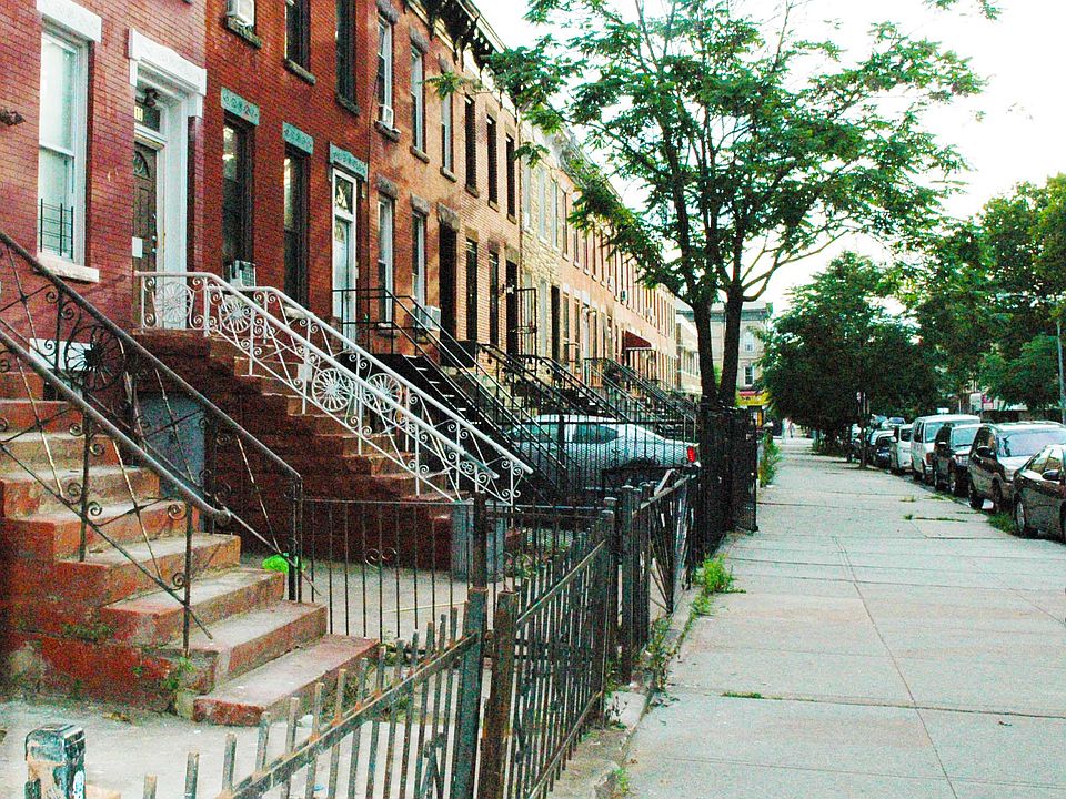 Tree Lined Blocks..