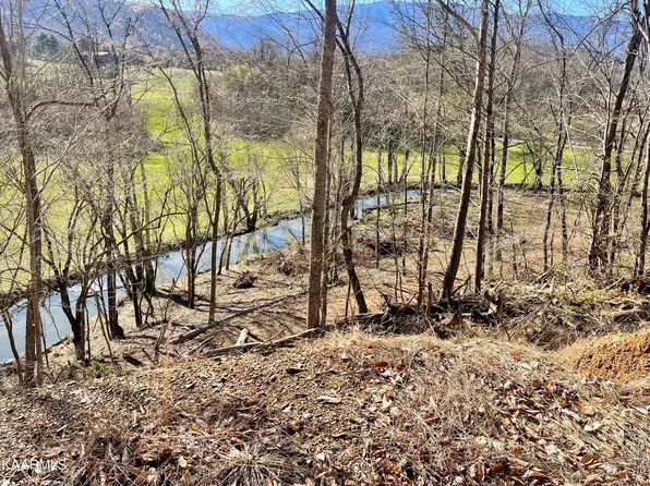 LOT 3R Two Pleasant Valley Rd, Cosby, TN 37722