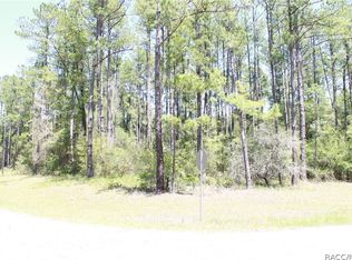 1341 E Carson Rd, Citrus Springs, FL 34434