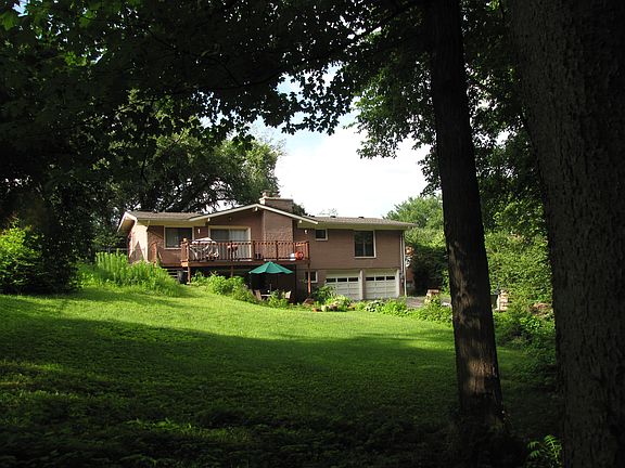 Backyard view from trees