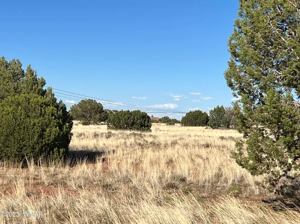 164 N 9213th, Concho, AZ 85924