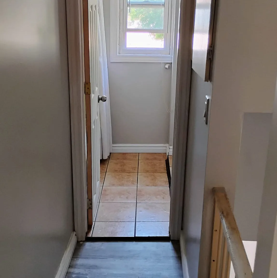 2 bed, 800 sqft, $1,250 — Photo 4