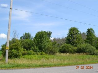 Vl Royalton Hartland Townline Rd #14, Gasport, NY 14067