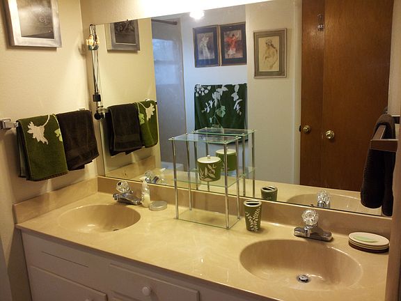 Main Bath with dual vanity