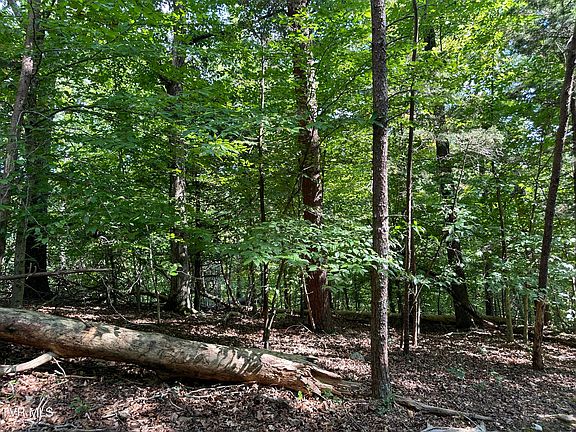 4th image of LOT 1239 Rustic Dr