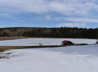 1140 Willey Rd, Dansville, NY 14437