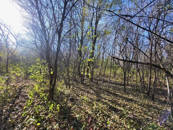 6745 438th St, Harris, MN 55032