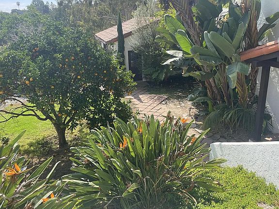 4th image of 28936 Boniface Dr